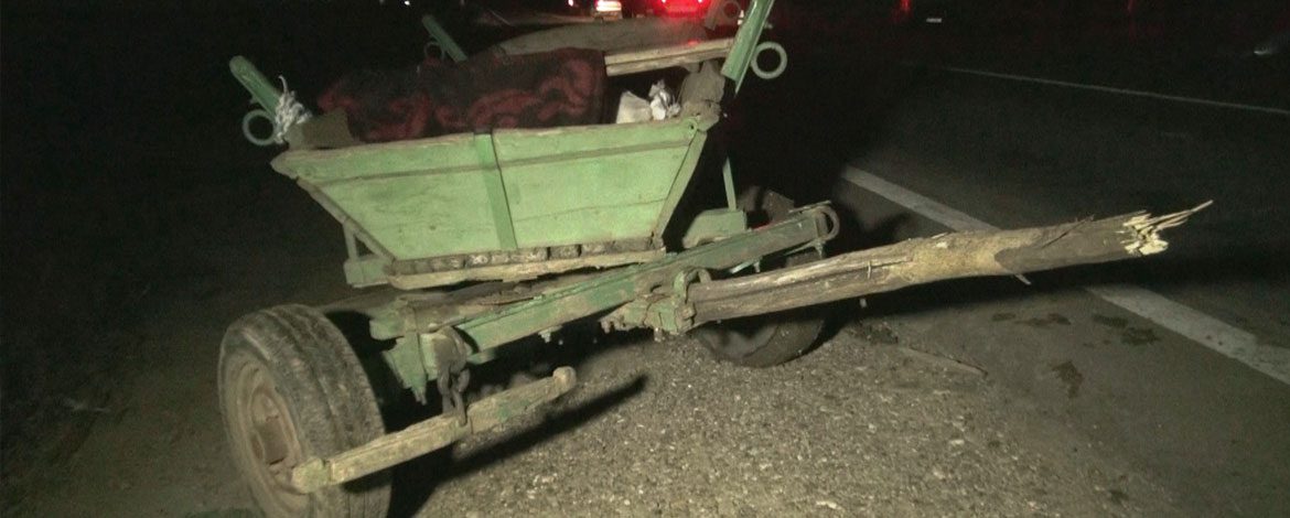 Doi tineri din Vicovu de Jos au produs un accident și au fugit de la locul faptei accident_caruta