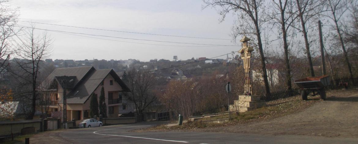 Familie din Cajvana intoxicată de la gazele ieşite din şemineu familie_intoxicata_cajvana
