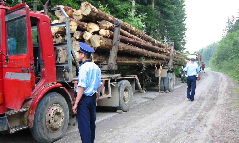 camionul camionul