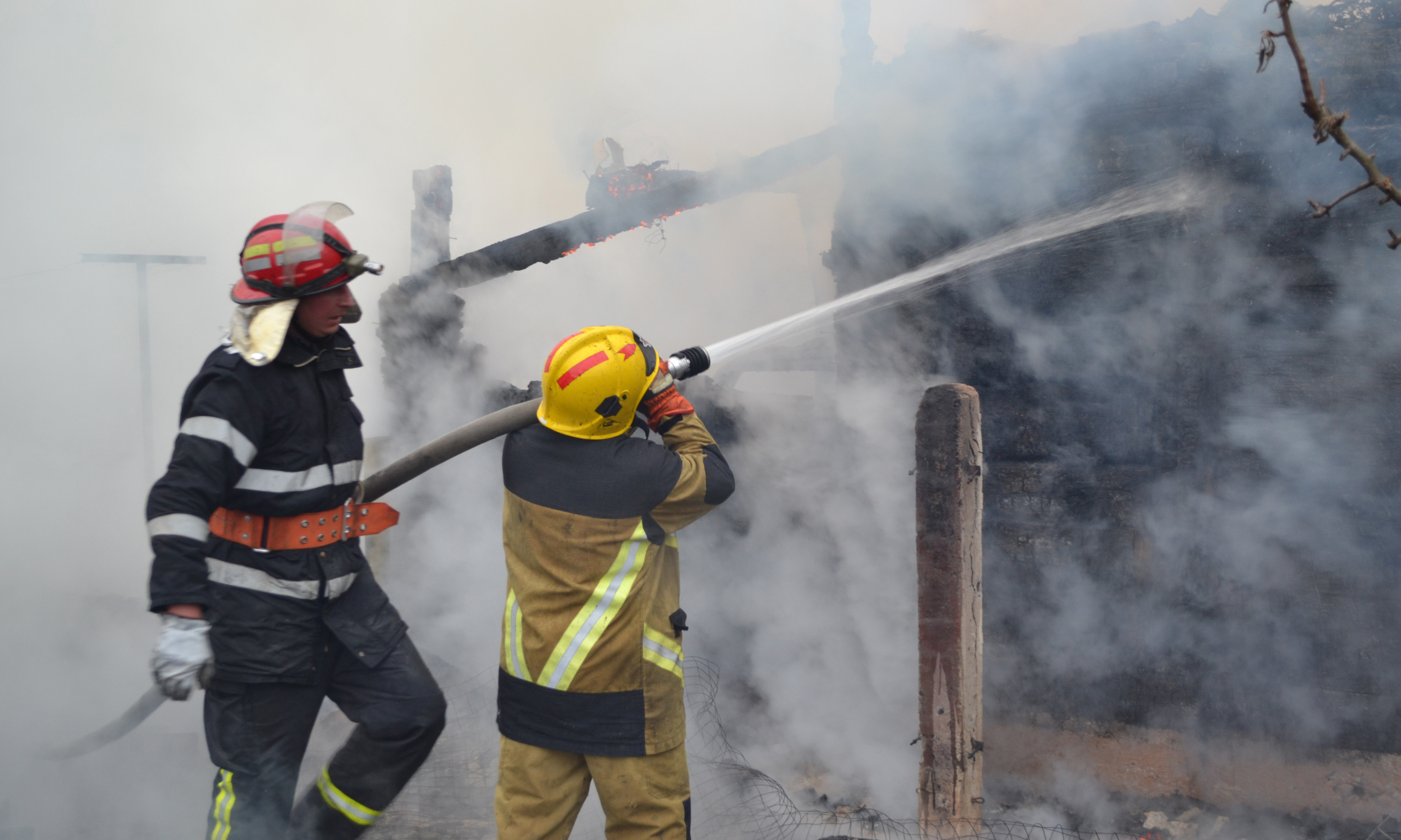 Casă din Arbore incendiată chiar de proprietar casp din arbore incendiată