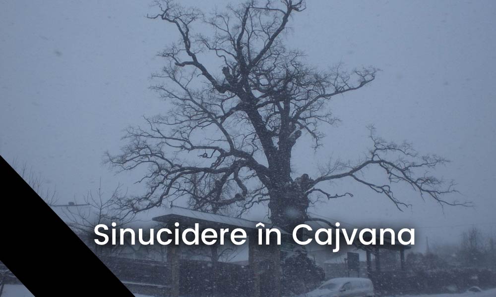 sinucidere-in-cajvana sinucidere-in-cajvana