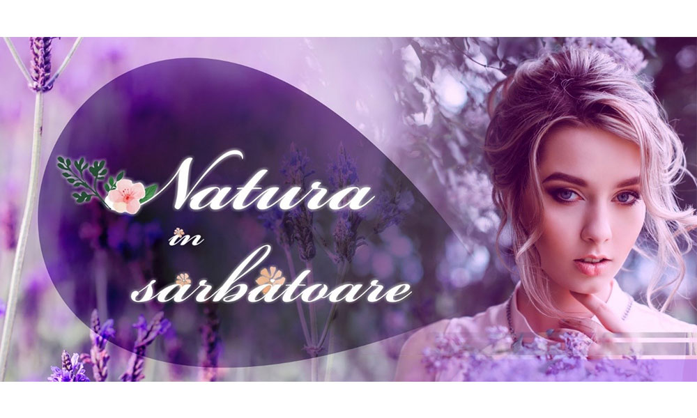natura-in-sarbatoare-lavanda-2017 natura în sărbătoare lavanda 2017