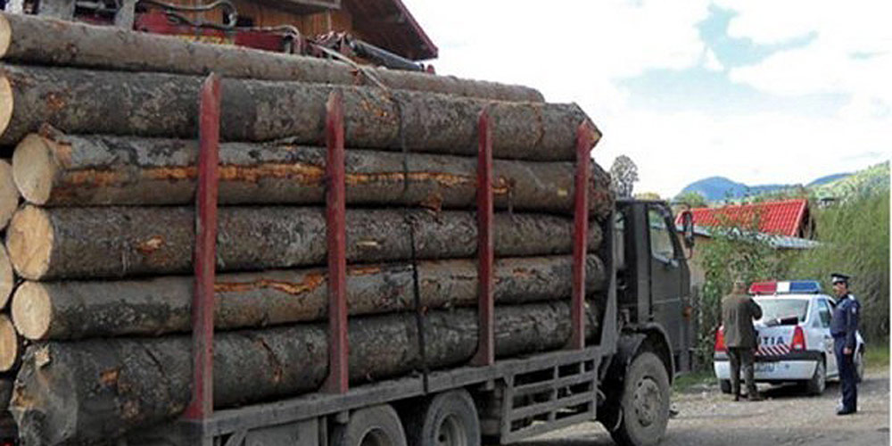 material-lemnos-transportat-ilegal-la-marginea material-lemnos-transportat-ilegal-la-marginea