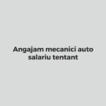 mecanici-auto