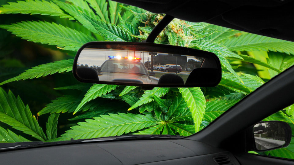 Dosar penal pentru un tânăr care a fumat marijuana şi a ieșit la plimbare cu maşina marijuana