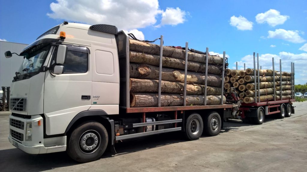 camion-cu-lemne