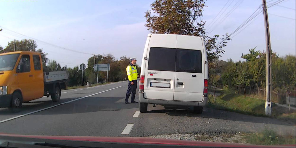 dosar-penal-pentru-un-barbat-din-arbore