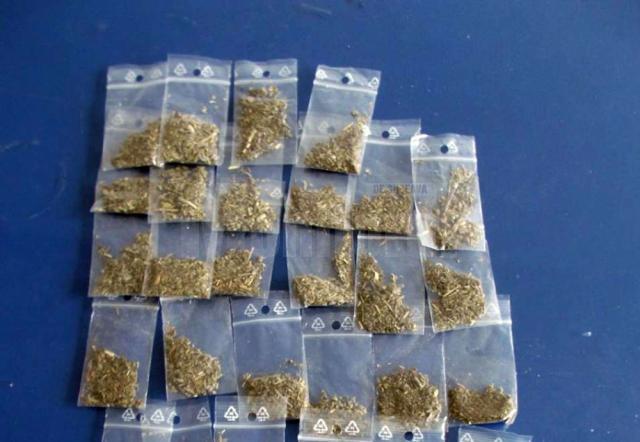 Peste 50 de consumatori de droguri depistaţi droguri-bucovina