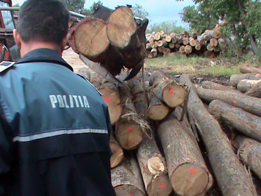 Lemn confiscat de poliţişti, la Cantonul Silvic Dornești lemn-confiscat-la-dornesti