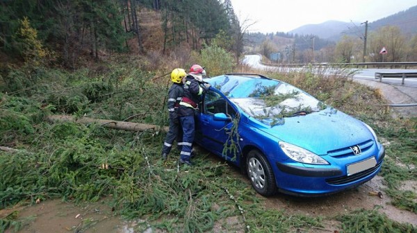 FOTO: Ninsoare la munte si ravagii facute de vant in tot judetul ninsoare-2