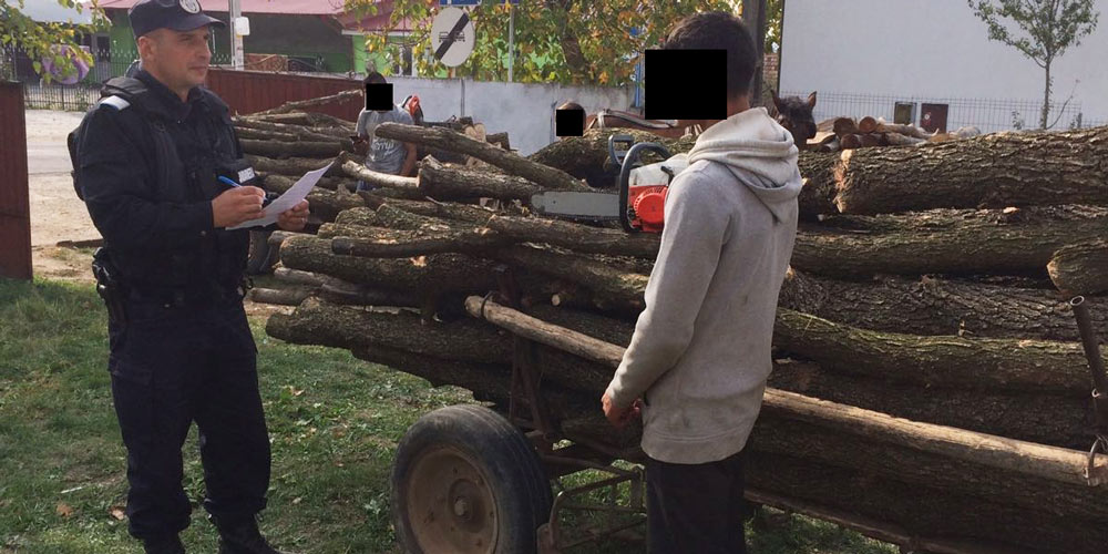 Mai multe persoane prinse la furat de lemne din pădure mai-multe-persoane-prinse-la-furat-de-lemne-din-padure