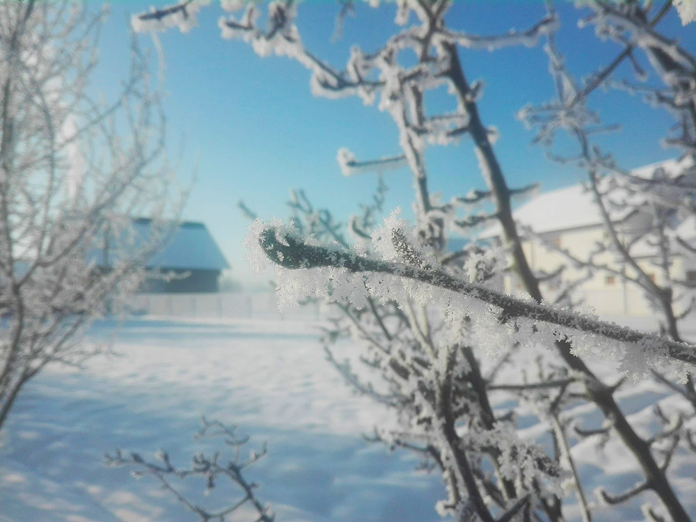 -21 de grade Celsius, cea mai scăzută temperatură de noaptea trecută, înregistrată în Rădăuţi radauti-frig
