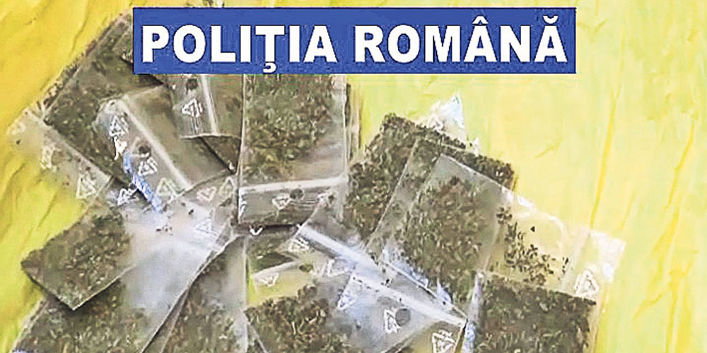 traficant-de-droguri-din-straja-condamnat-la-3-ani-de-inchisoare