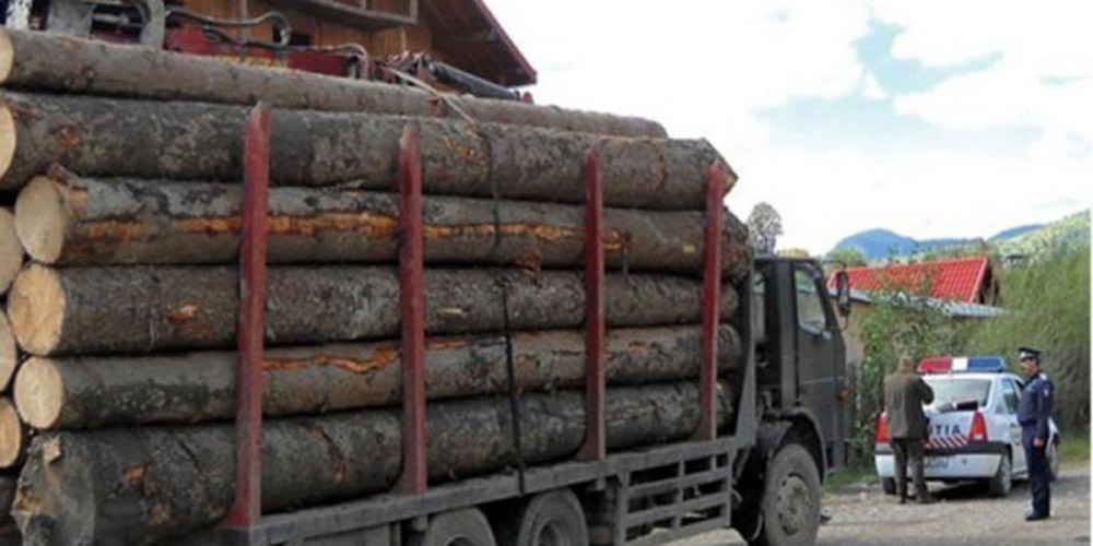 doi-soferi-amendati-cu-cate-5-000-lei-si-material-lemnos-confiscat