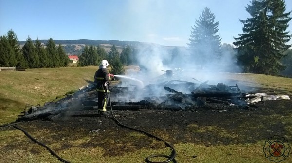 Un cioban din Vicovu de Sus a murit carbonizat după ce i-a luat foc coliba un-cioban-din-vicovu-de-sus-a-murit-carbonizat-dupa-ce-i-a-luat-foc-coliba
