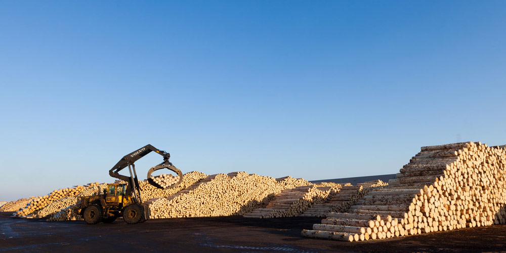 Patru directori ai Holzindustrie Schweighofer, cercetaţi de DIICOT patru-directori-ai-holzindustrie-schweighofer-cercetati-de-diicot