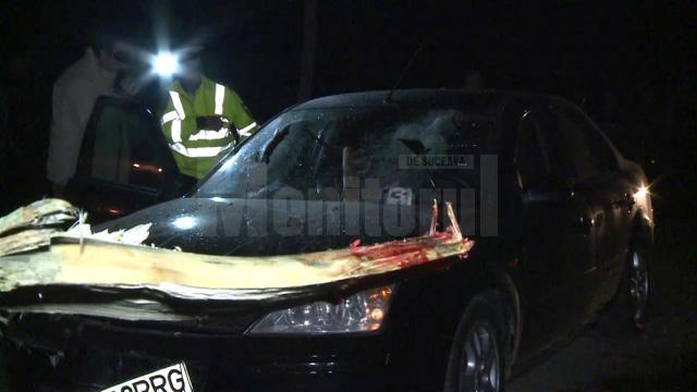 3-ani-de-inchisoare-pentru-un-carutas-din-cauza-caruia-o-femeie-a-avut-o-moarte-groaznica 3-ani-de-inchisoare-pentru-un-carutas-din-cauza-caruia-o-femeie-a-avut-o-moarte-groaznica